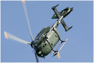 Bray Air Display 2008