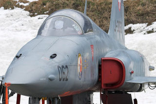 Northrop F-5E Tiger II, J-3062, Swiss Air Force