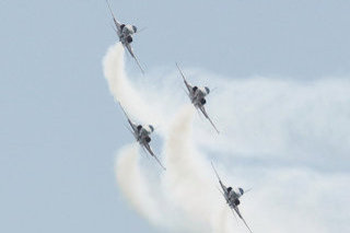 Northrop F-5E Tiger II, J-3086, Swiss Air Force