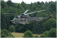 Westland Sea King Mk41, 8960, Marineflieger