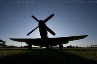 IMG 3366 mustang silhouette