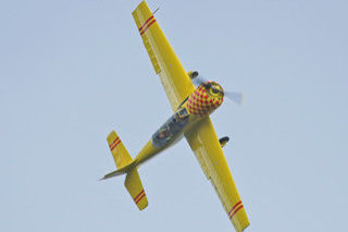 Yakovlev Yak-52, G-MCCY, David McCoy